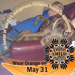 Meet your Posher, Bob